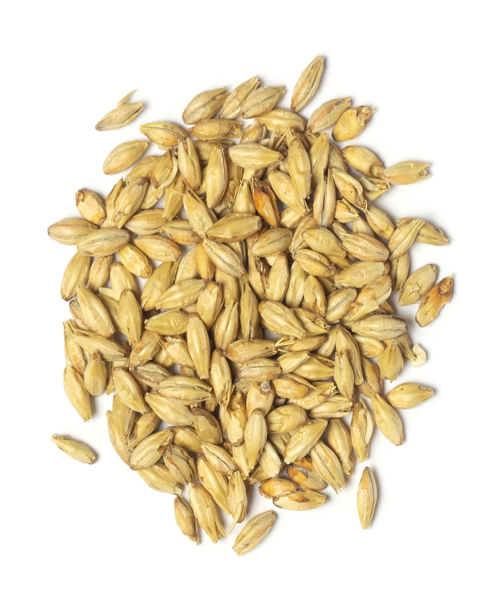 Pale Ale and Vienna Holland Malt