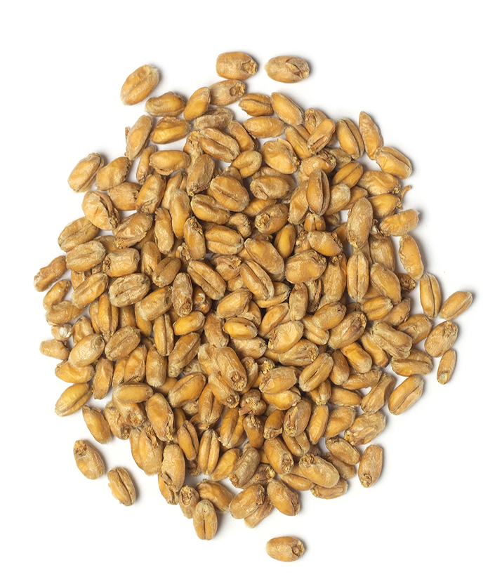 Wheat malt Holland Malt